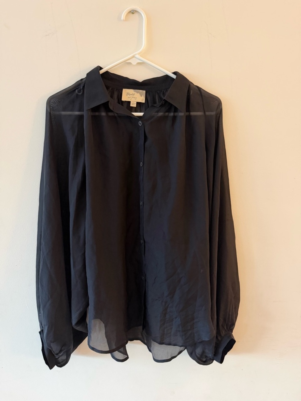 Elizabeth and James Black Sheer Black 100% Silk Blouse Small